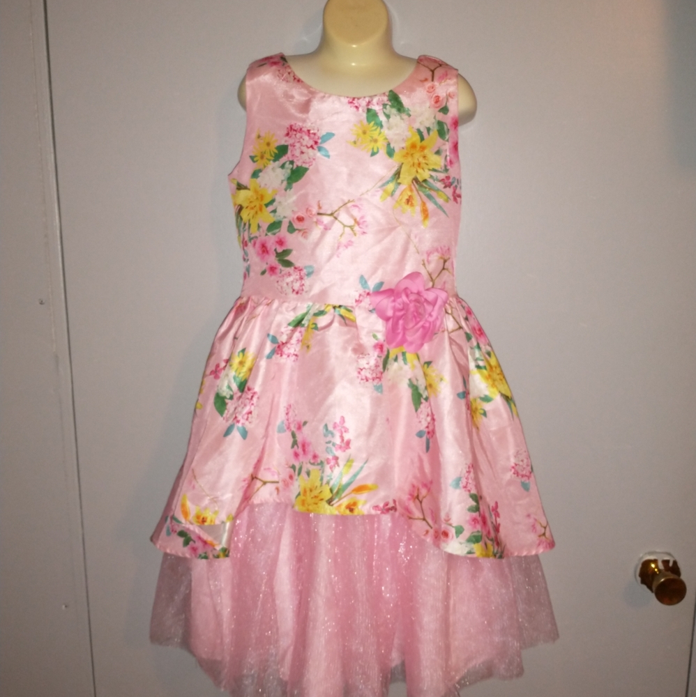 Wonder Nation Floral and Tulle Dress for Girls Size 12